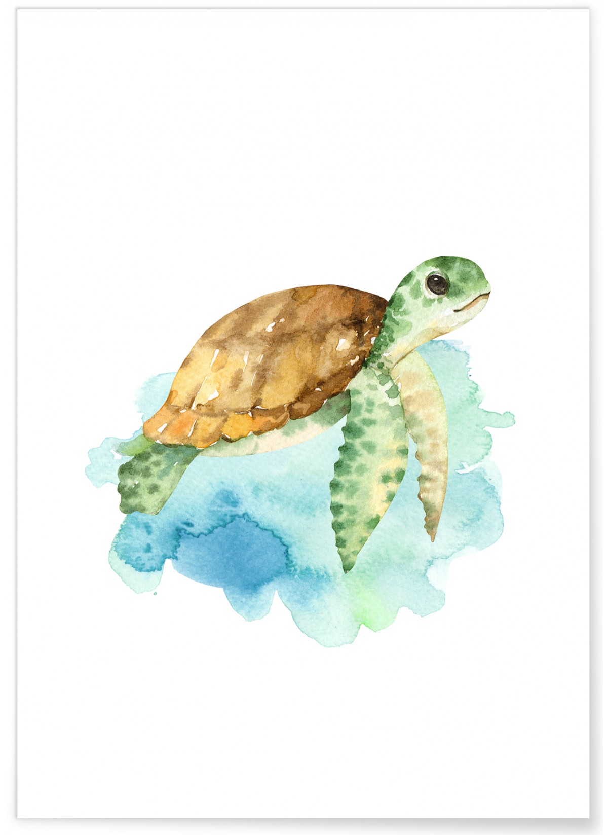 Affiche Enfant Tortue