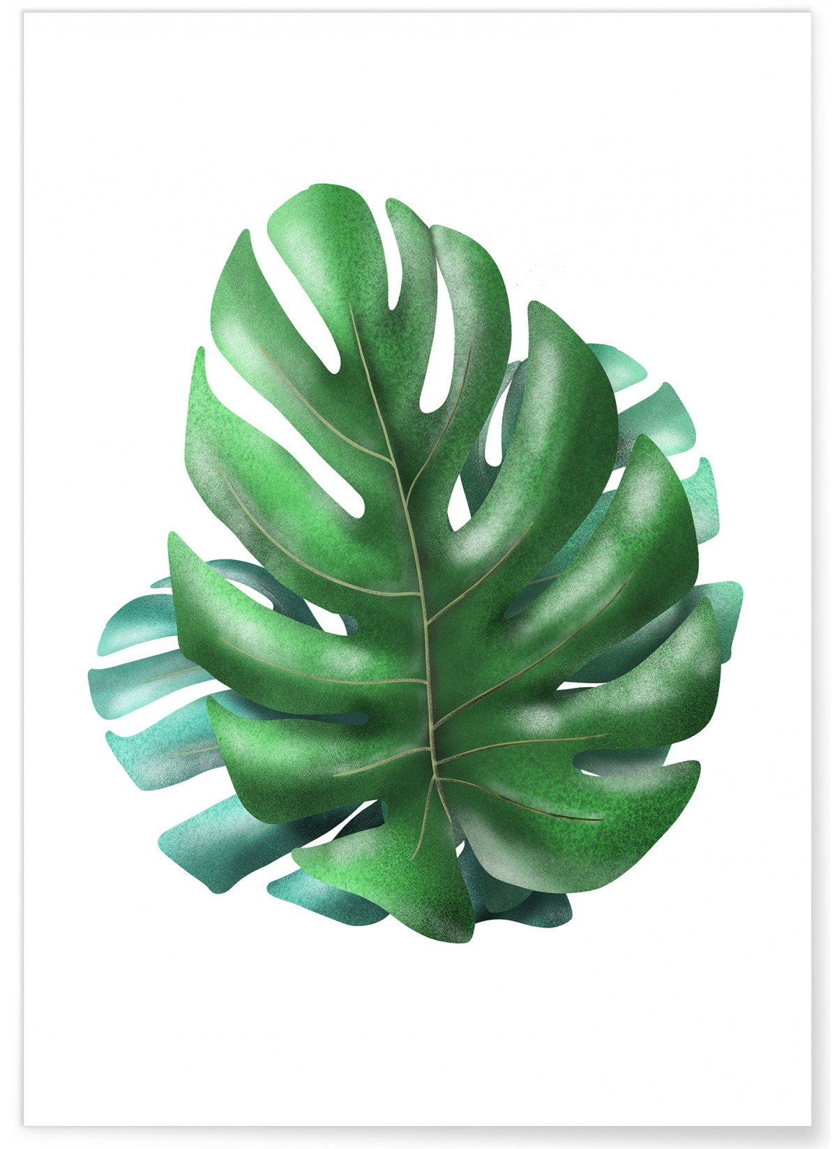 Affiche Monstera