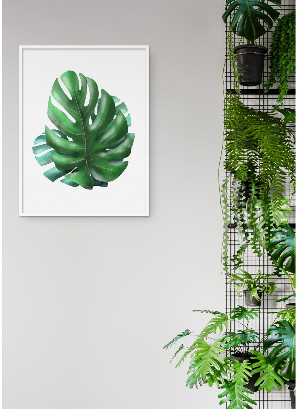 Affiche Monstera