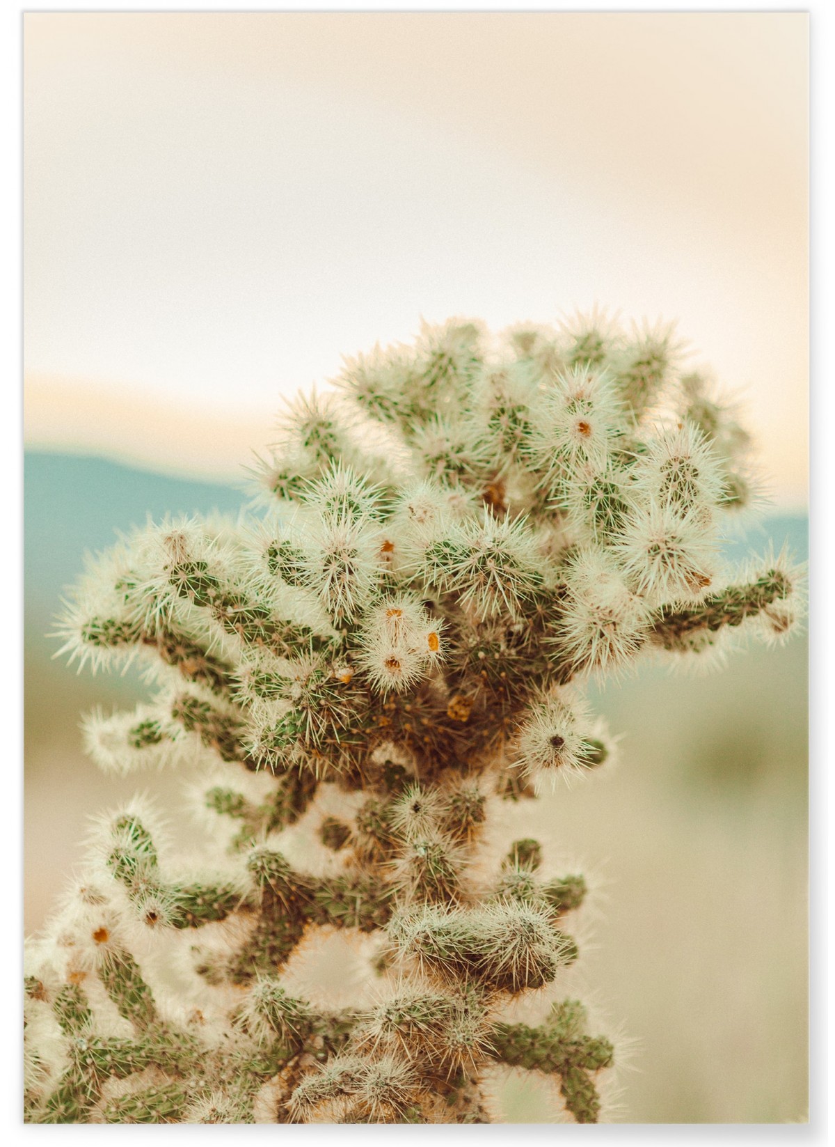 Affiche Nature Desert 2