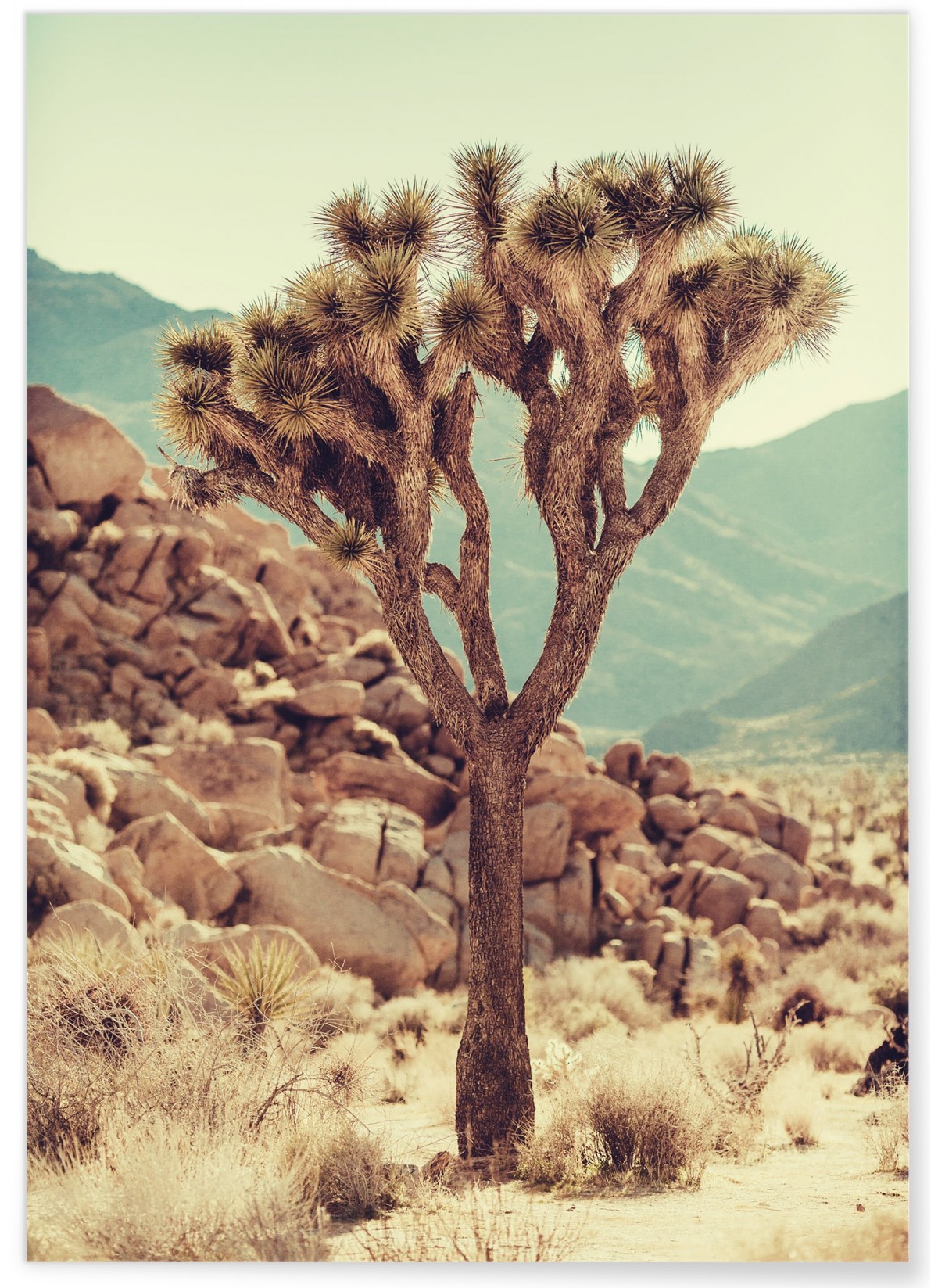 Affiche Nature Desert 3