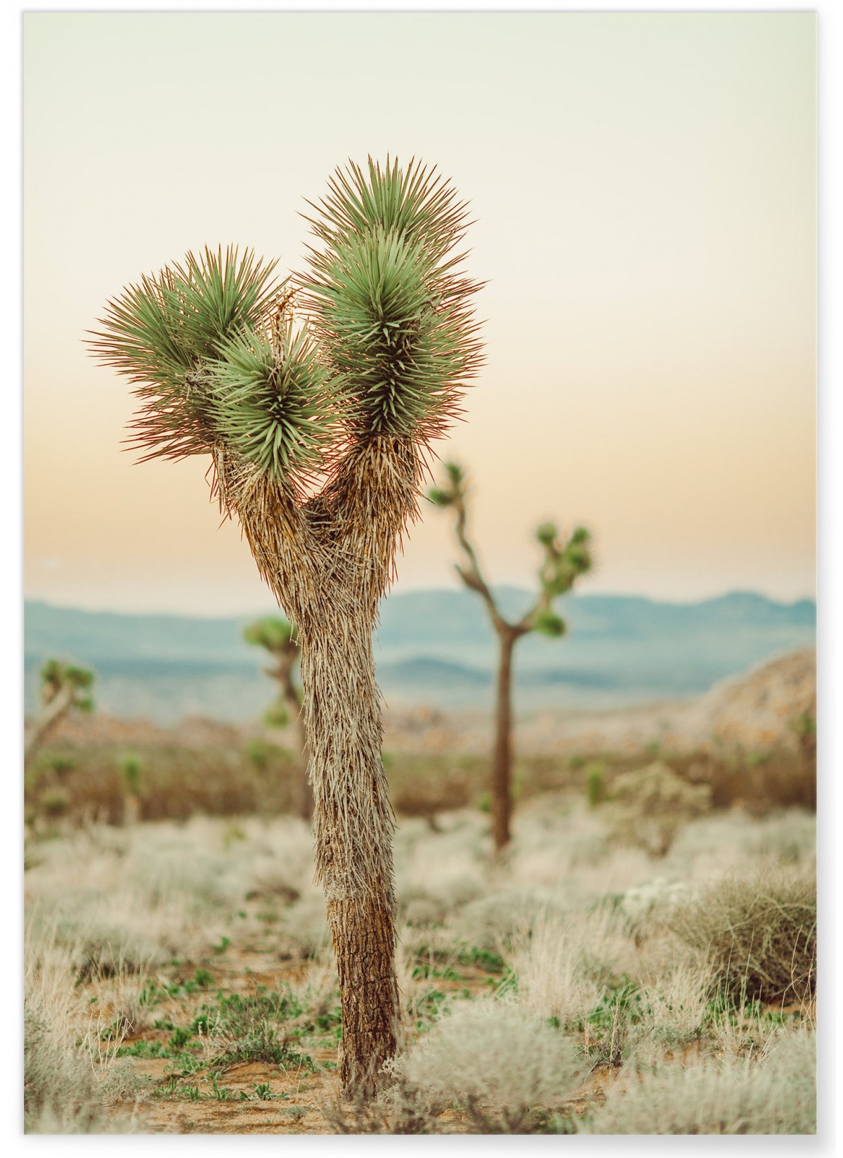 Affiche Nature Desert 4