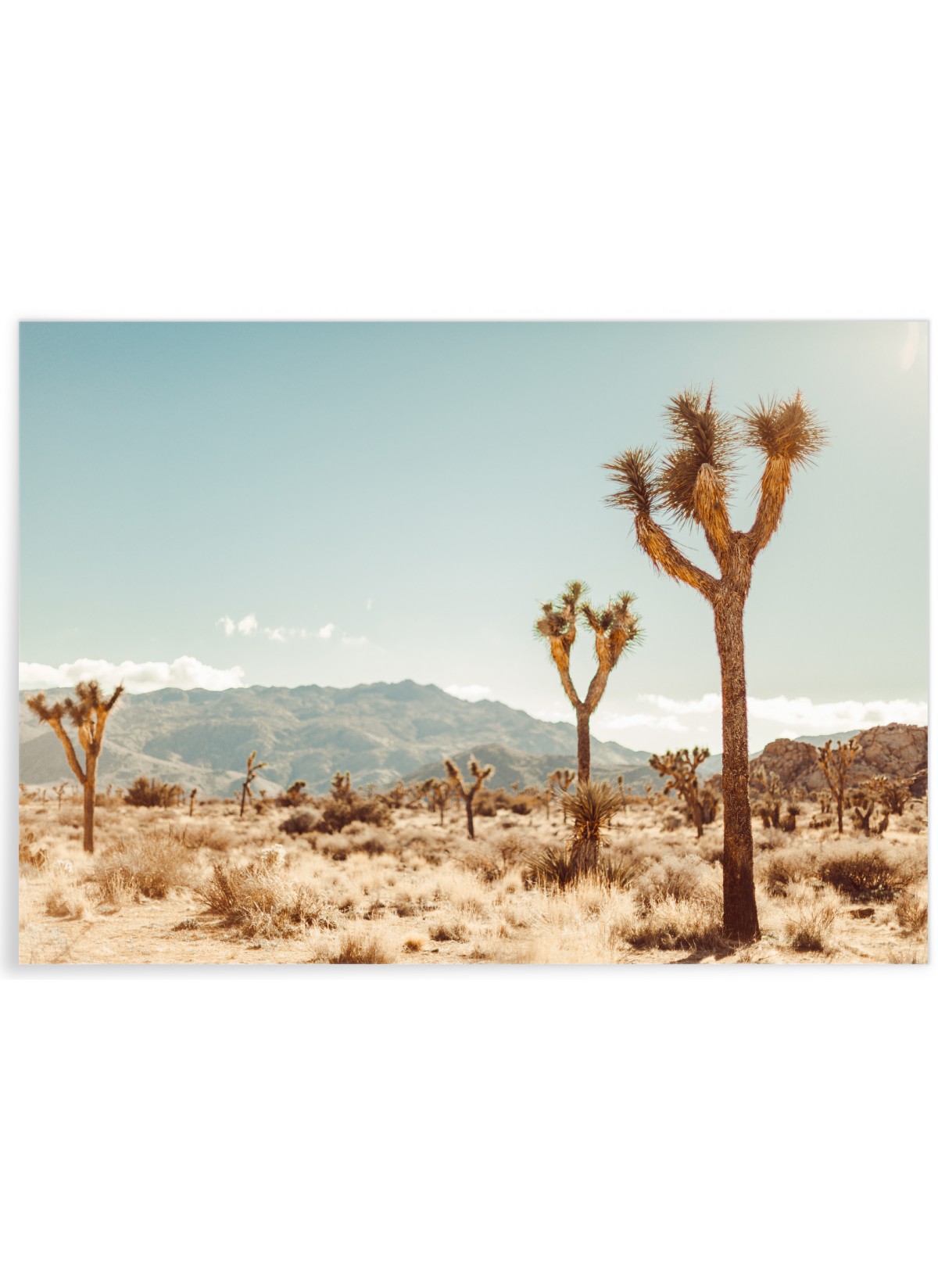 Affiche Nature Desert 5