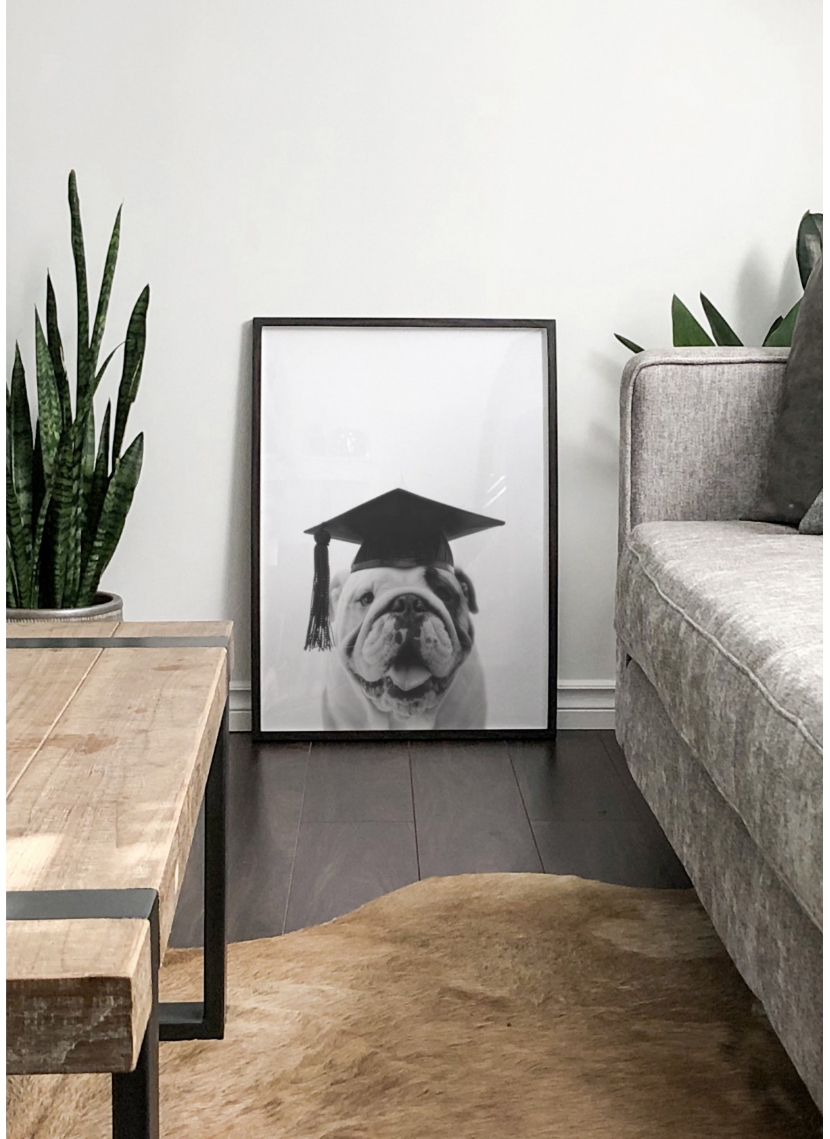 Affiche Bulldog Gaston