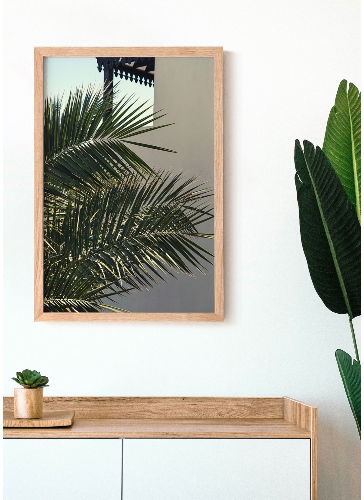 Affiche Nature Palmier