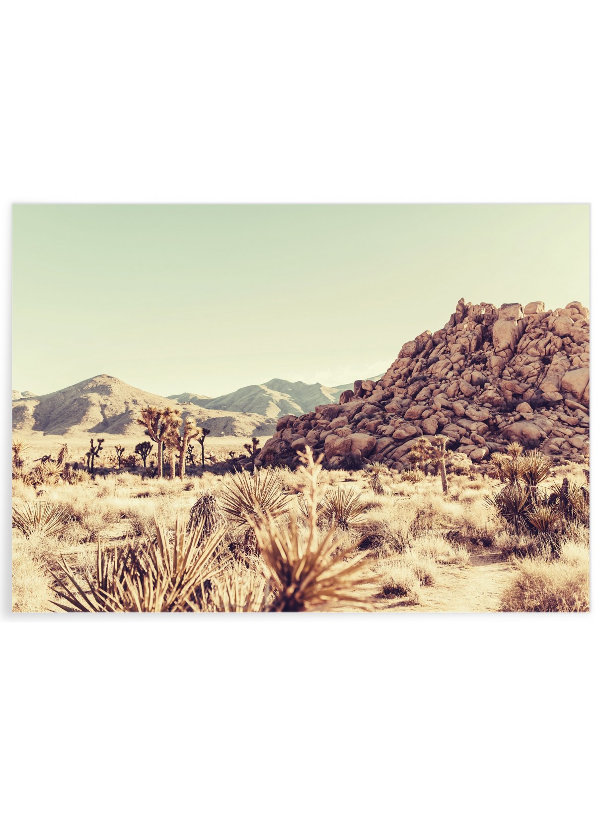 Affiche Nature Desert 6