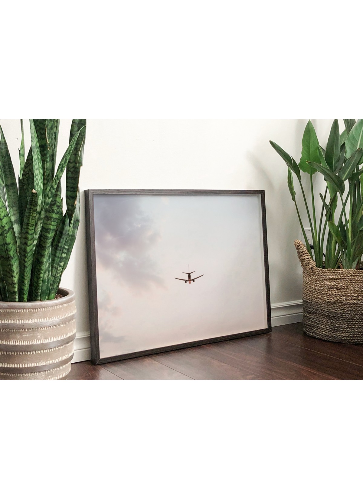 Poster Nature Avion