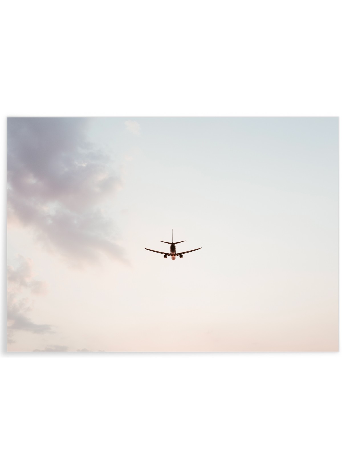Poster Nature Avion
