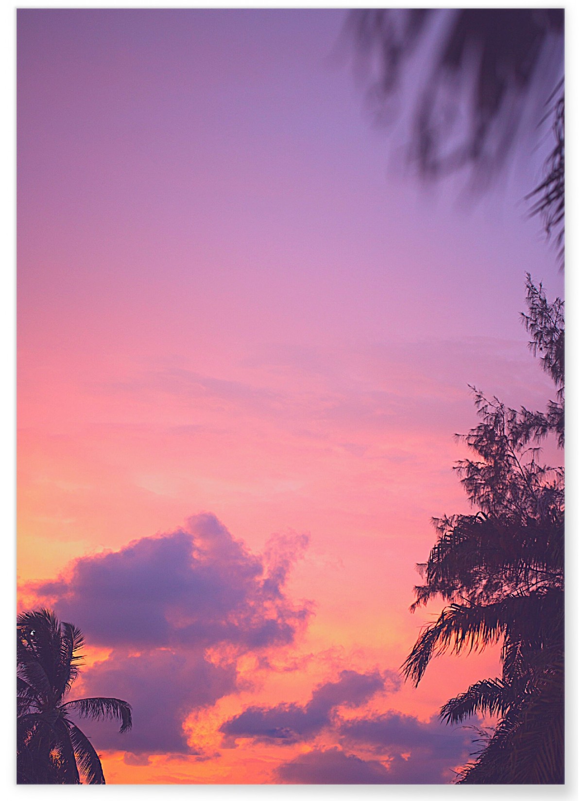 Affiche Nature Ciel Rose 1