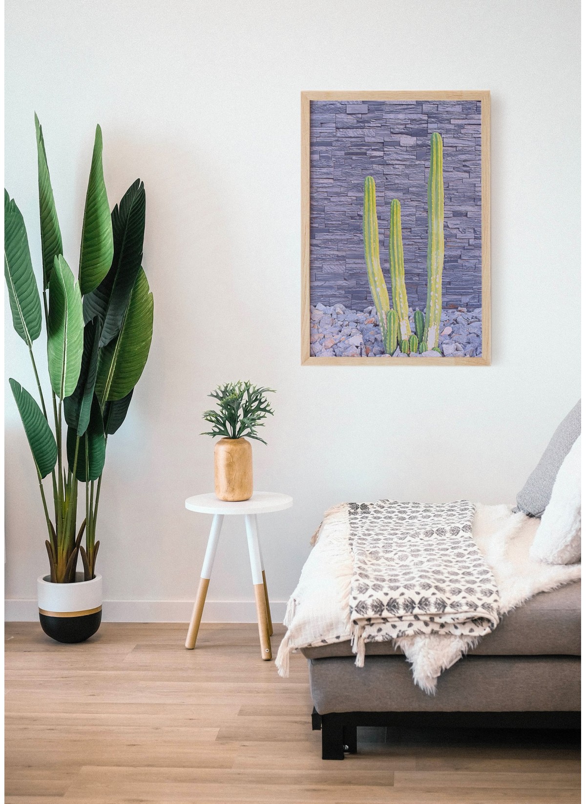 Affiche nature Cactus 2