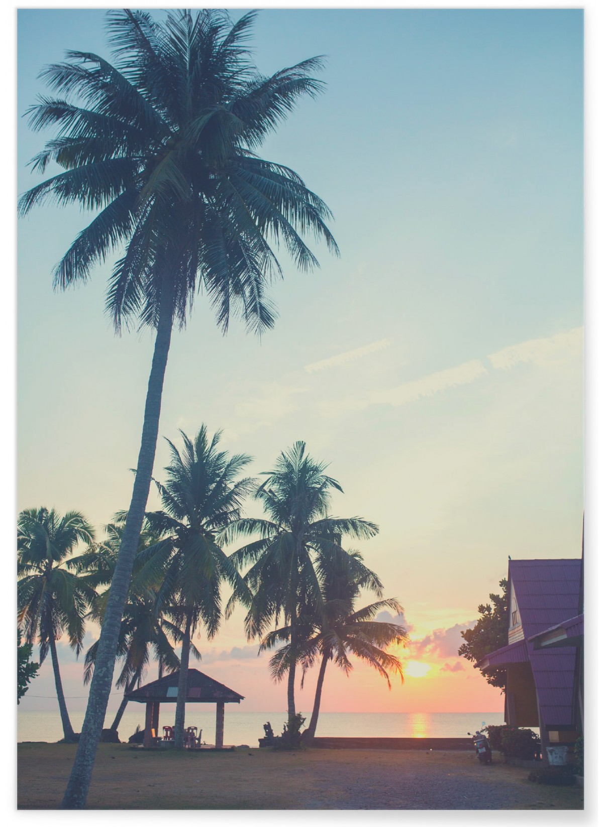 Affiche Nature Tropicale 7