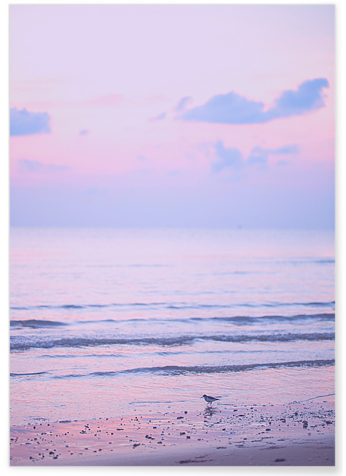 Affiche Nature Ciel Rose 5
