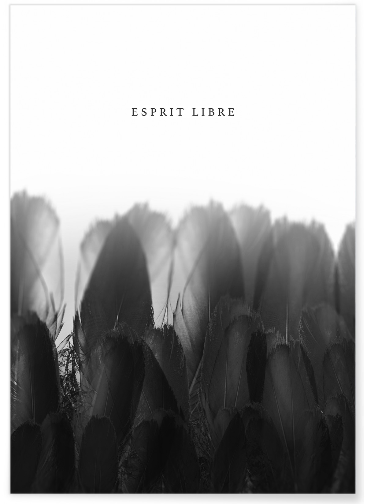 Affiche Esprit Libre