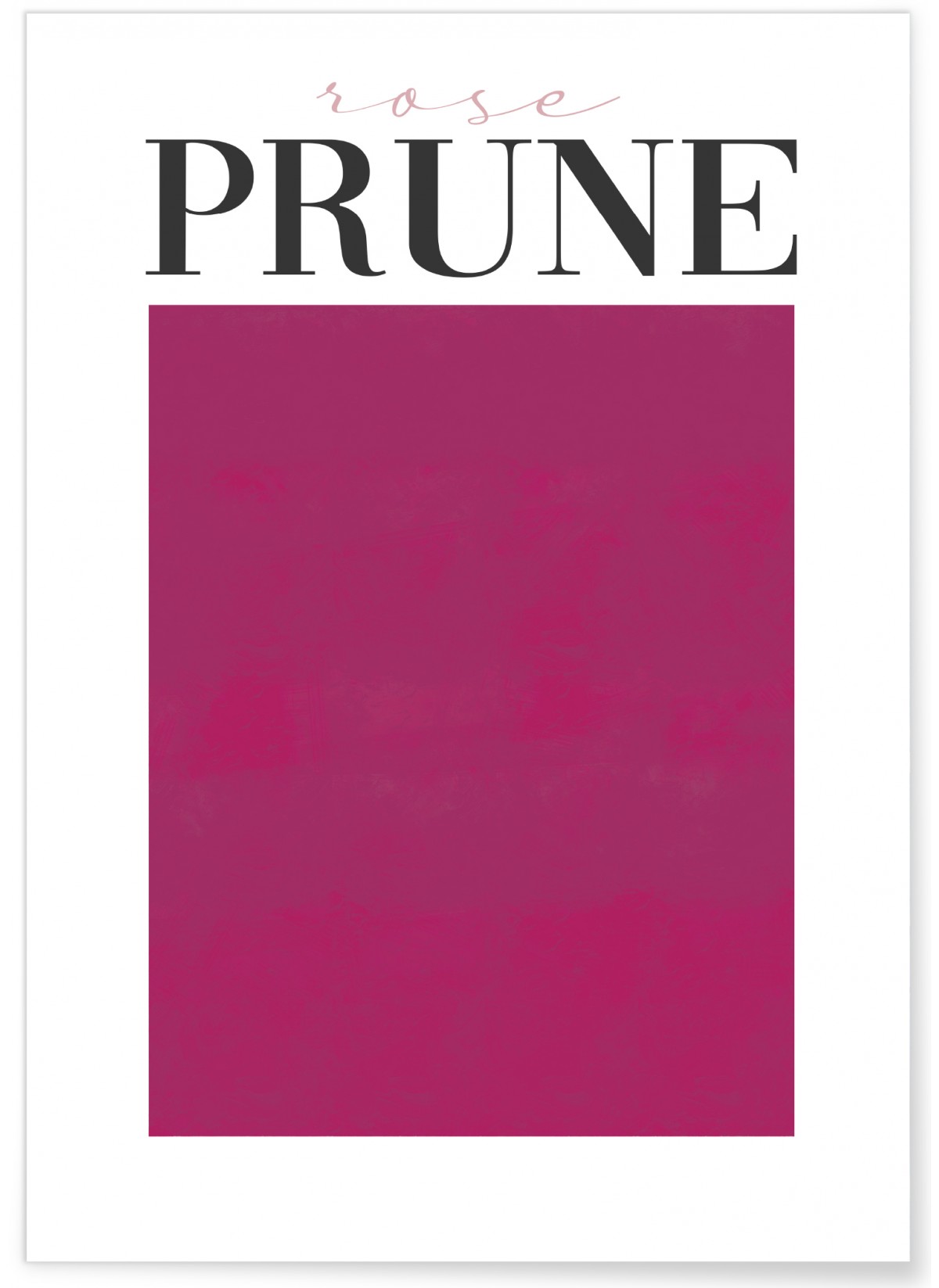 Affiche Rose prune