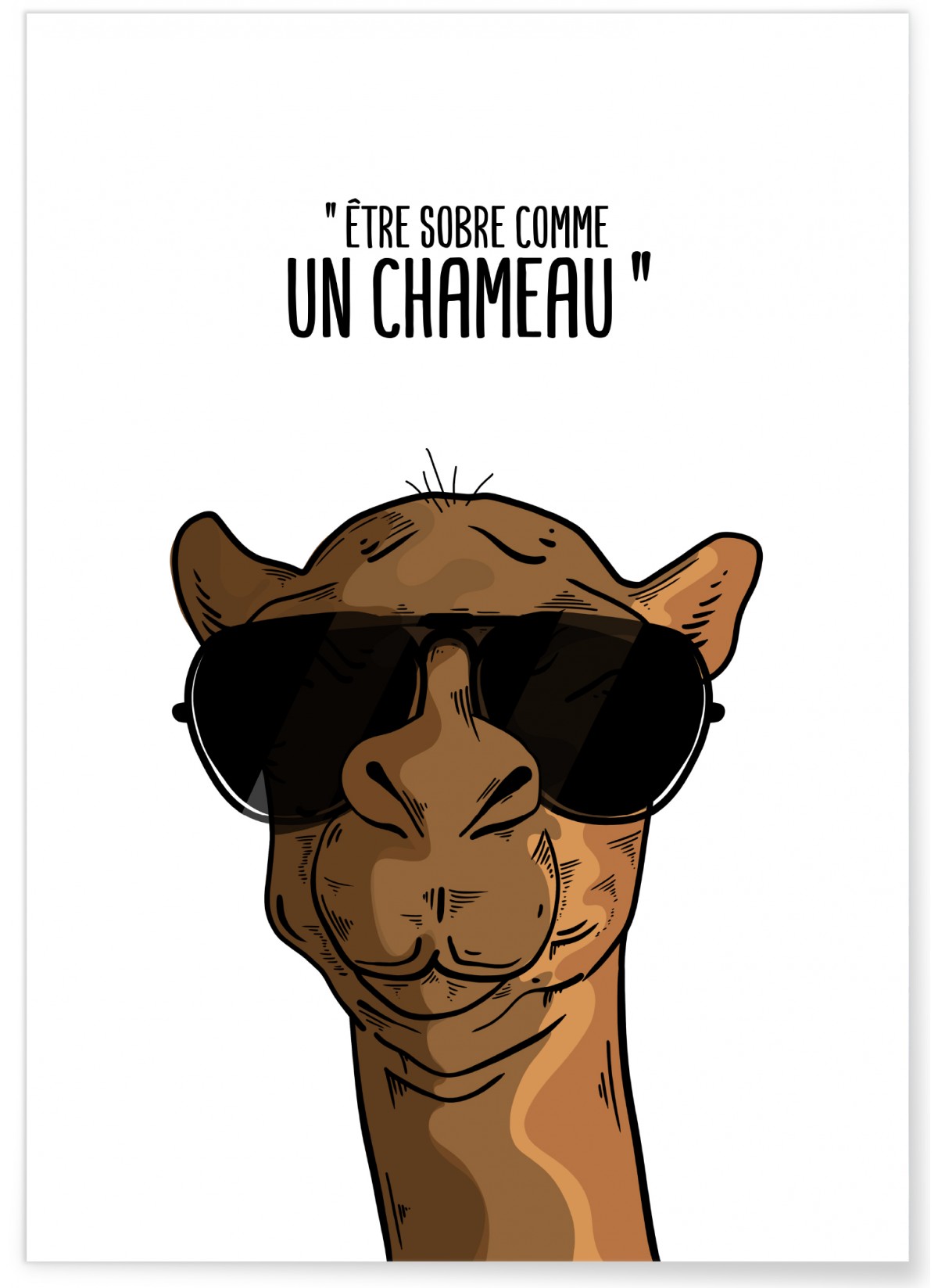 Affiche "Sobre comme un chameau"