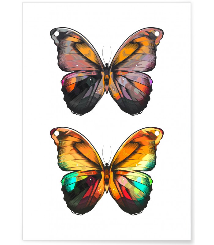 Affiche Papillons