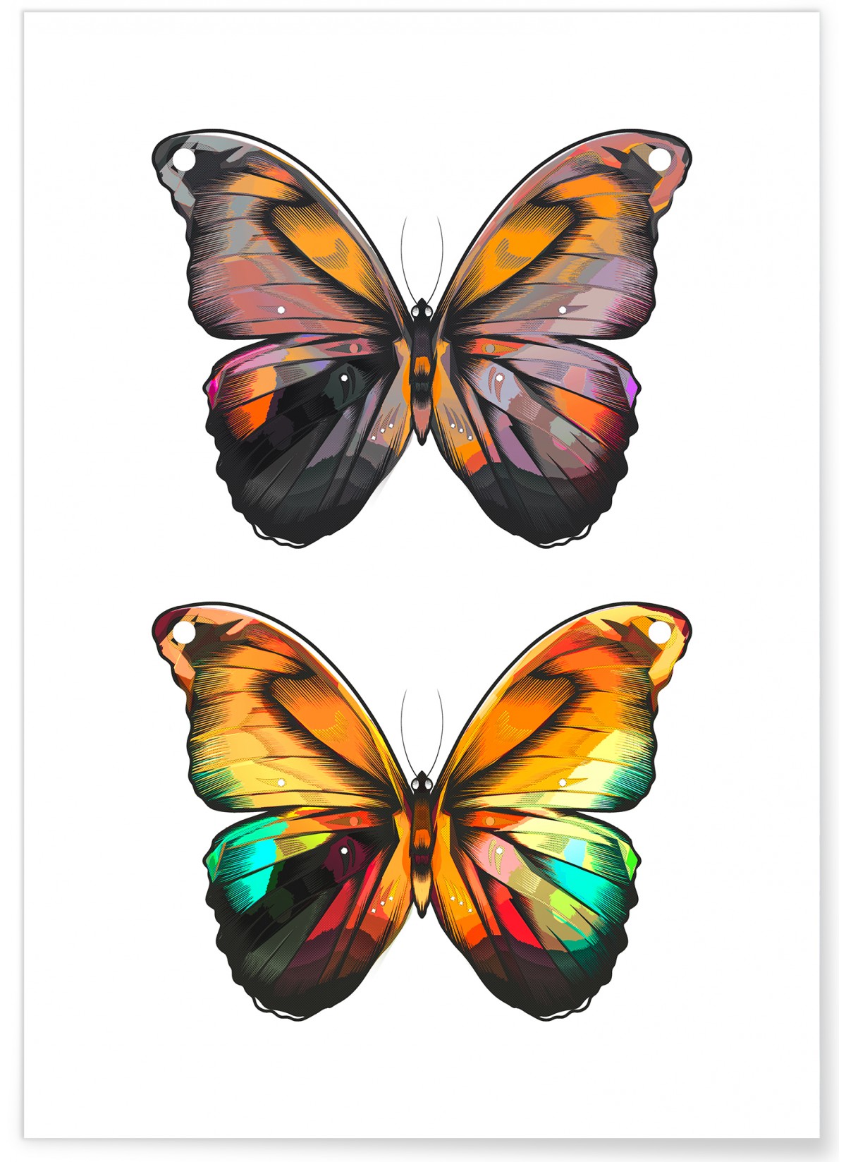Affiche Papillons
