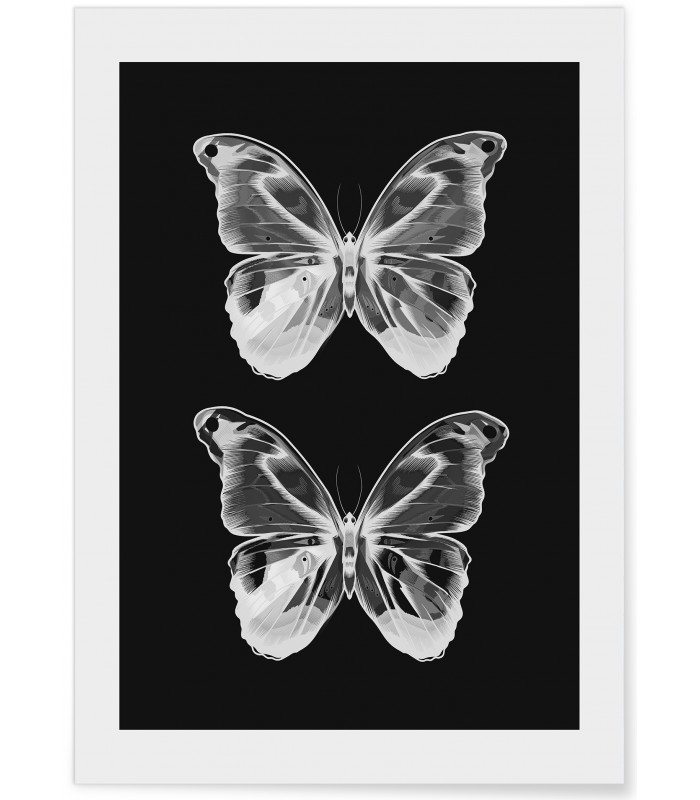 Affiche Papillons 2
