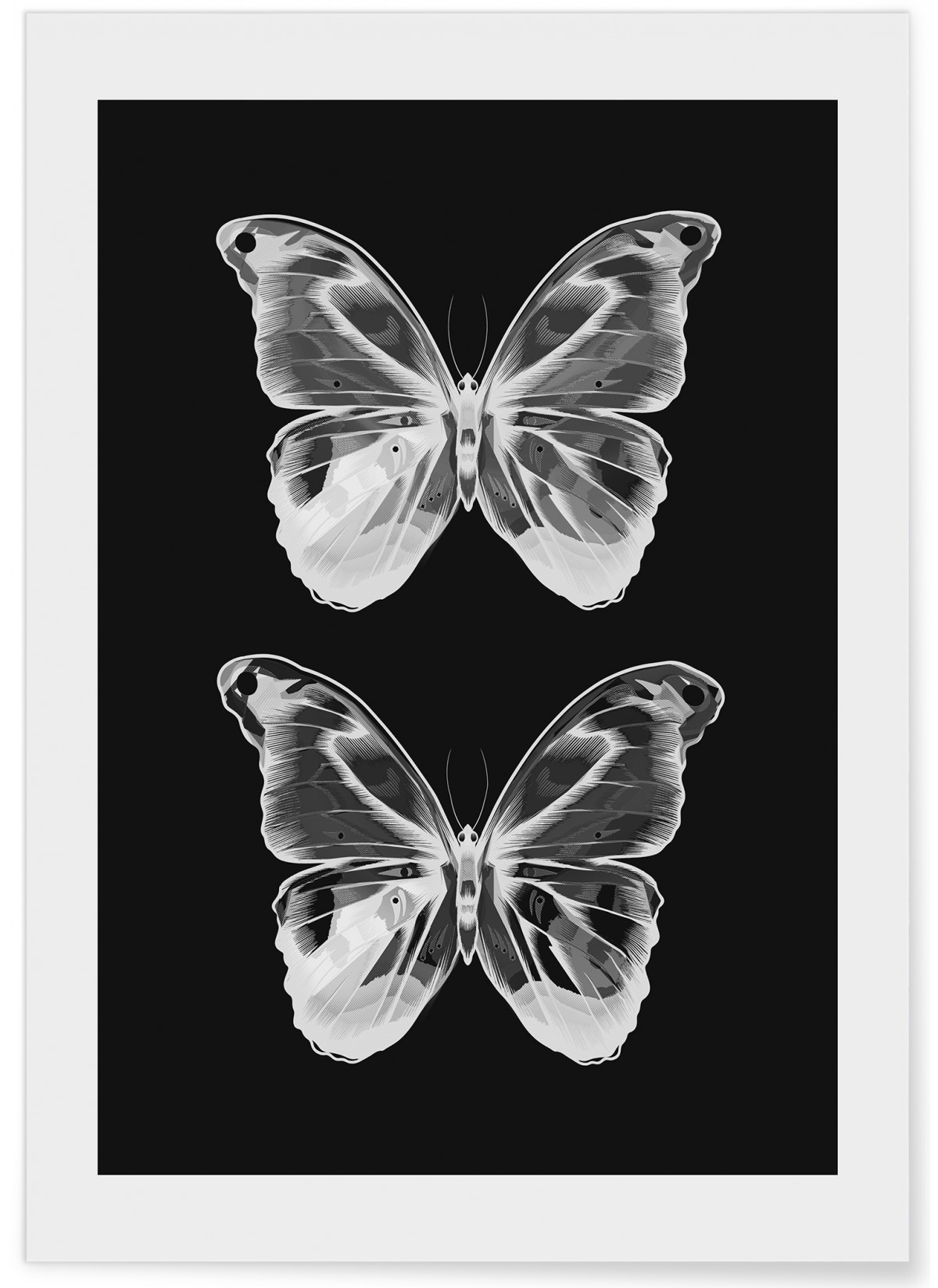 Affiche Papillons 2
