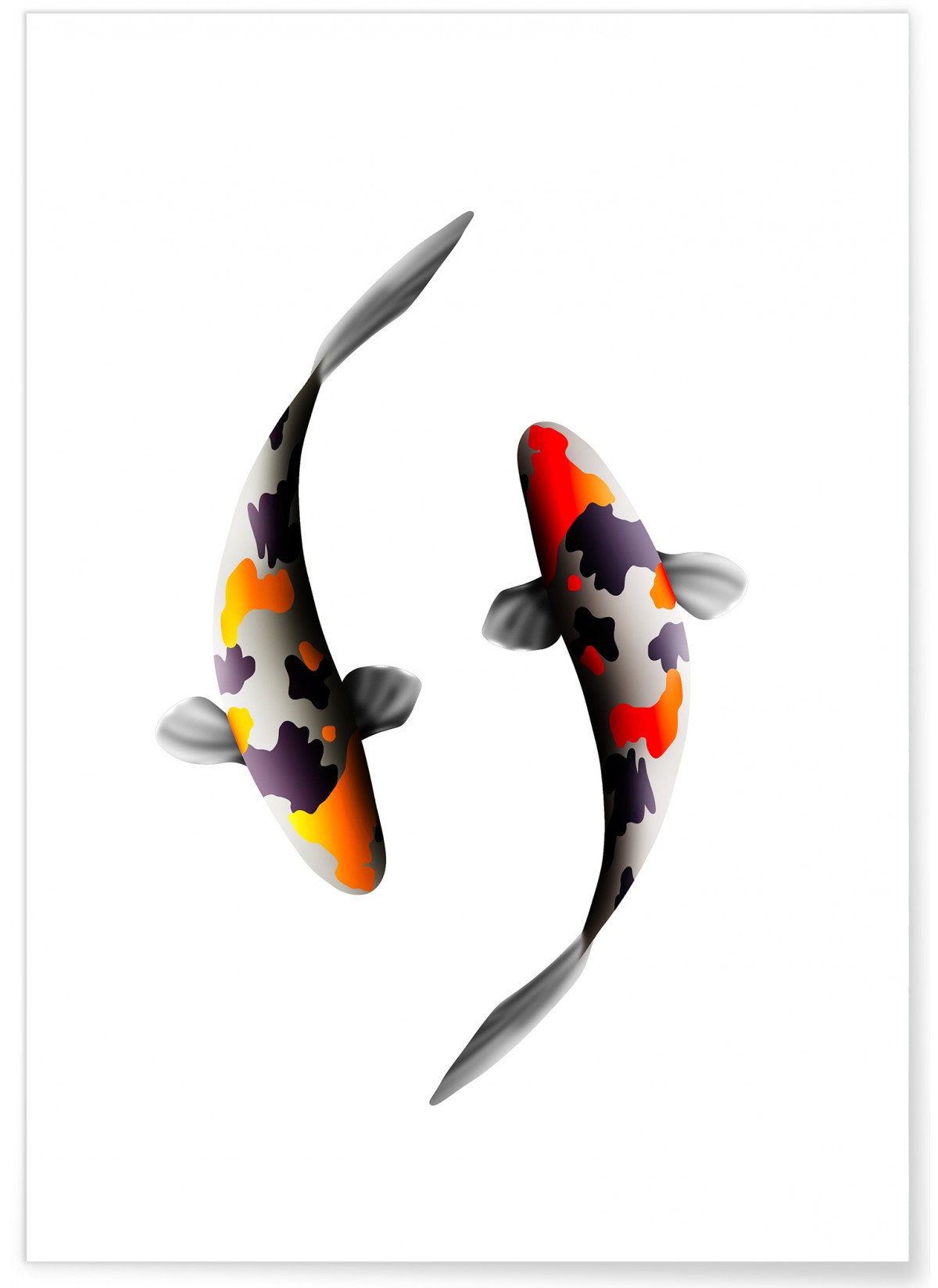Affiche Carpes Koi