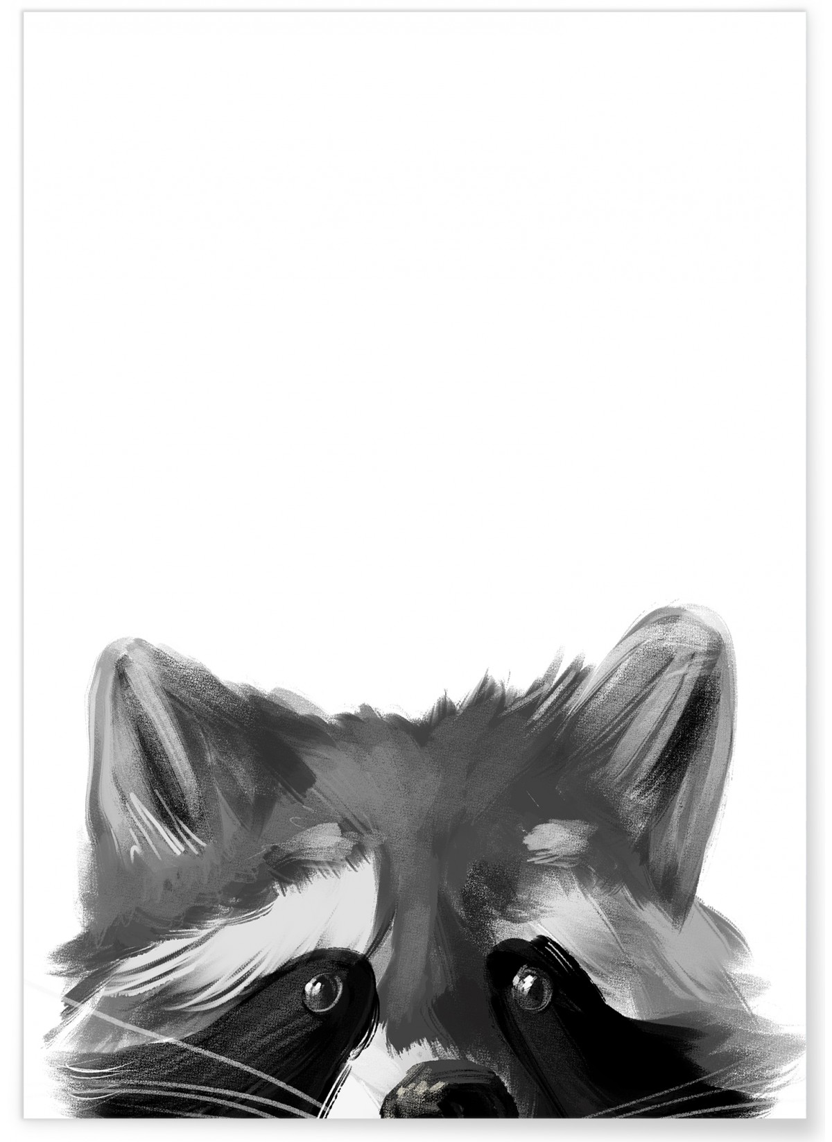 Affiche Racoon