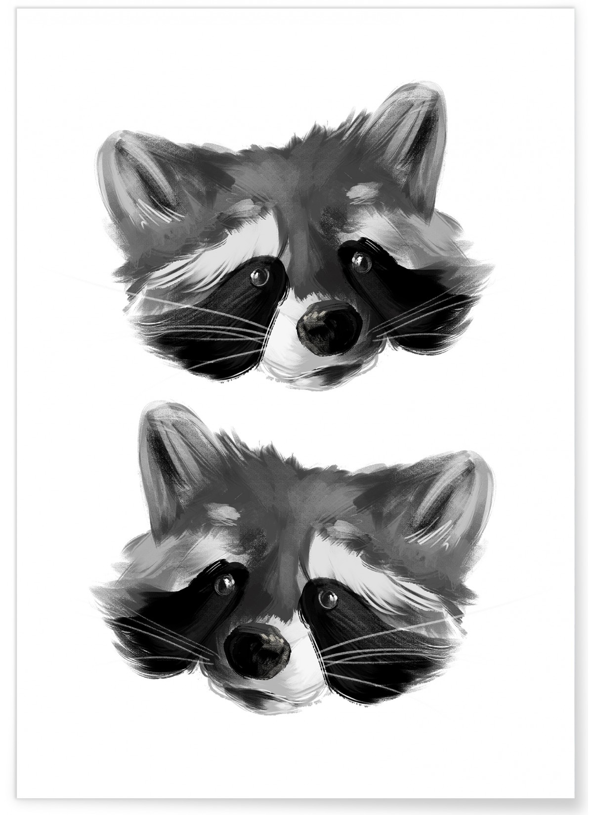 Affiche Racoon 2