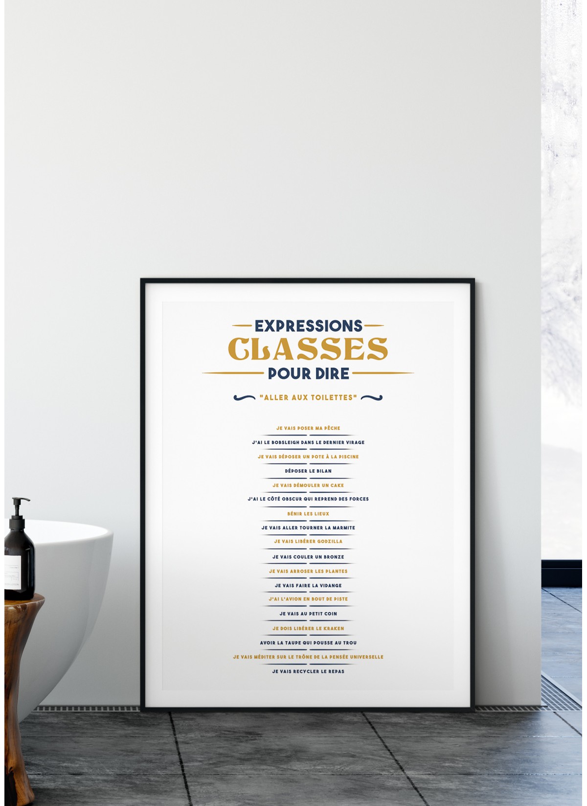 Affiche Expressions classes pour dire "Je vais aux toilettes"