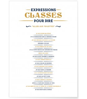 Affiche Expressions classes pour dire "Je vais aux toilettes"