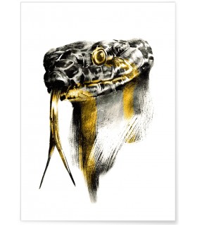 Affiche "Snake"
