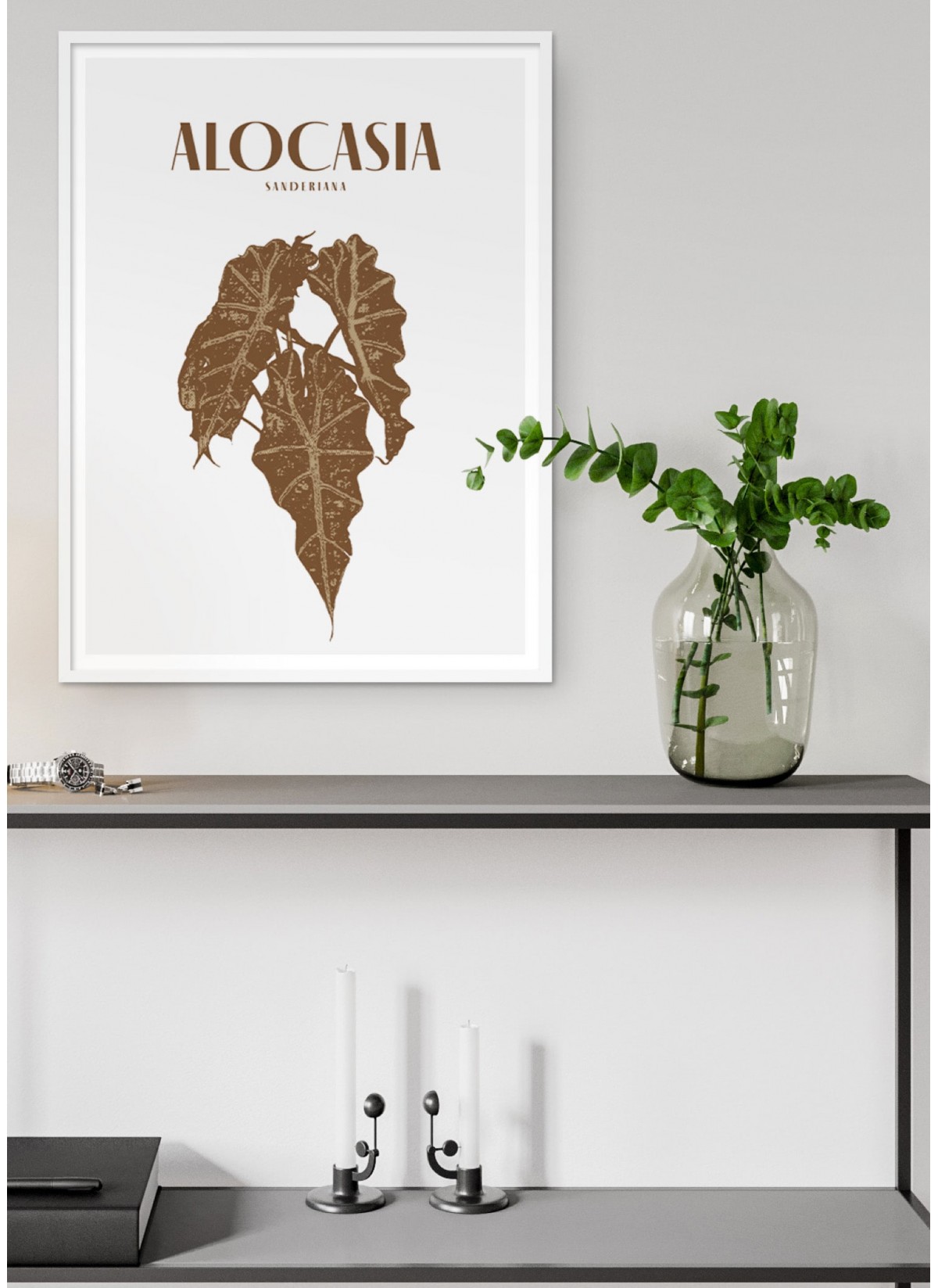 Affiche "Alocasia"