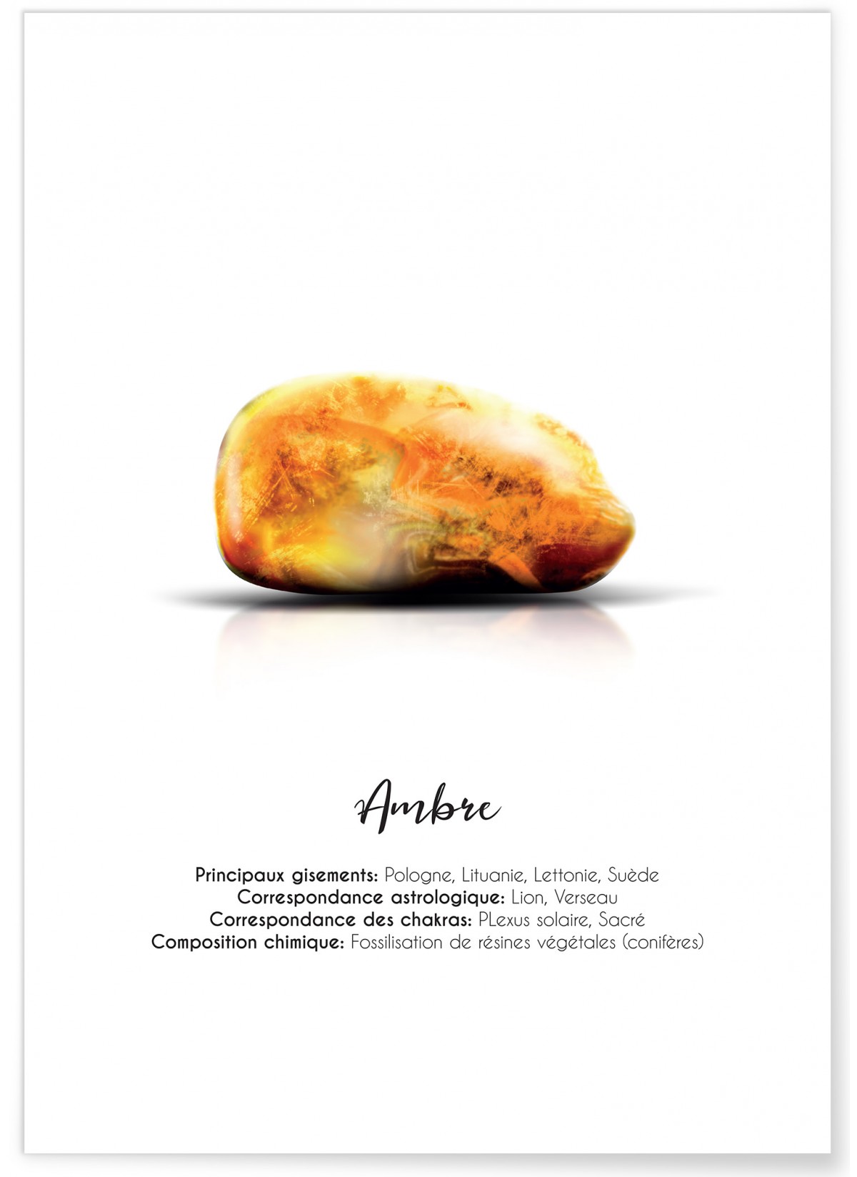Affiche Ambre
