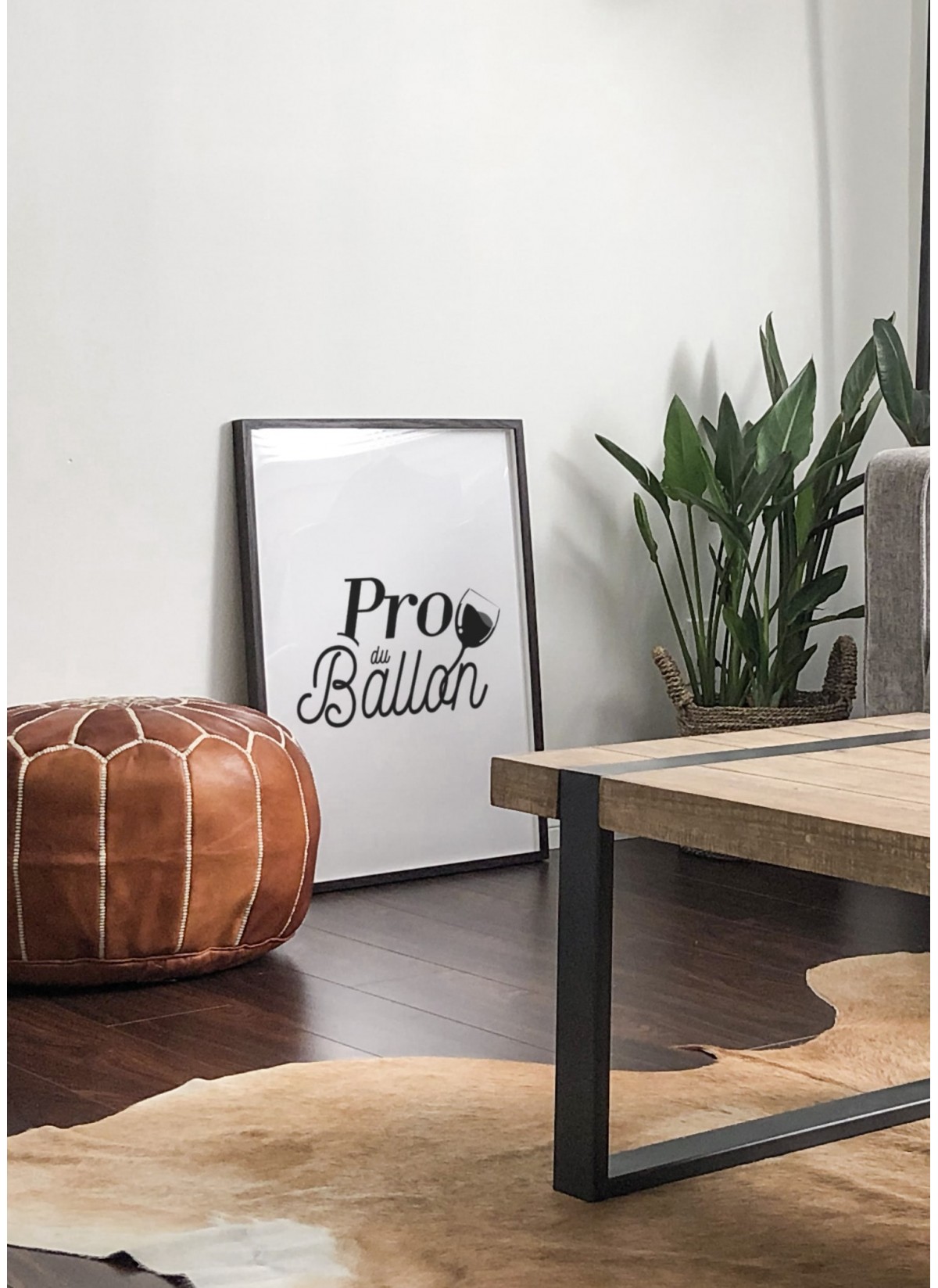 Affiche "Pro du Ballon"