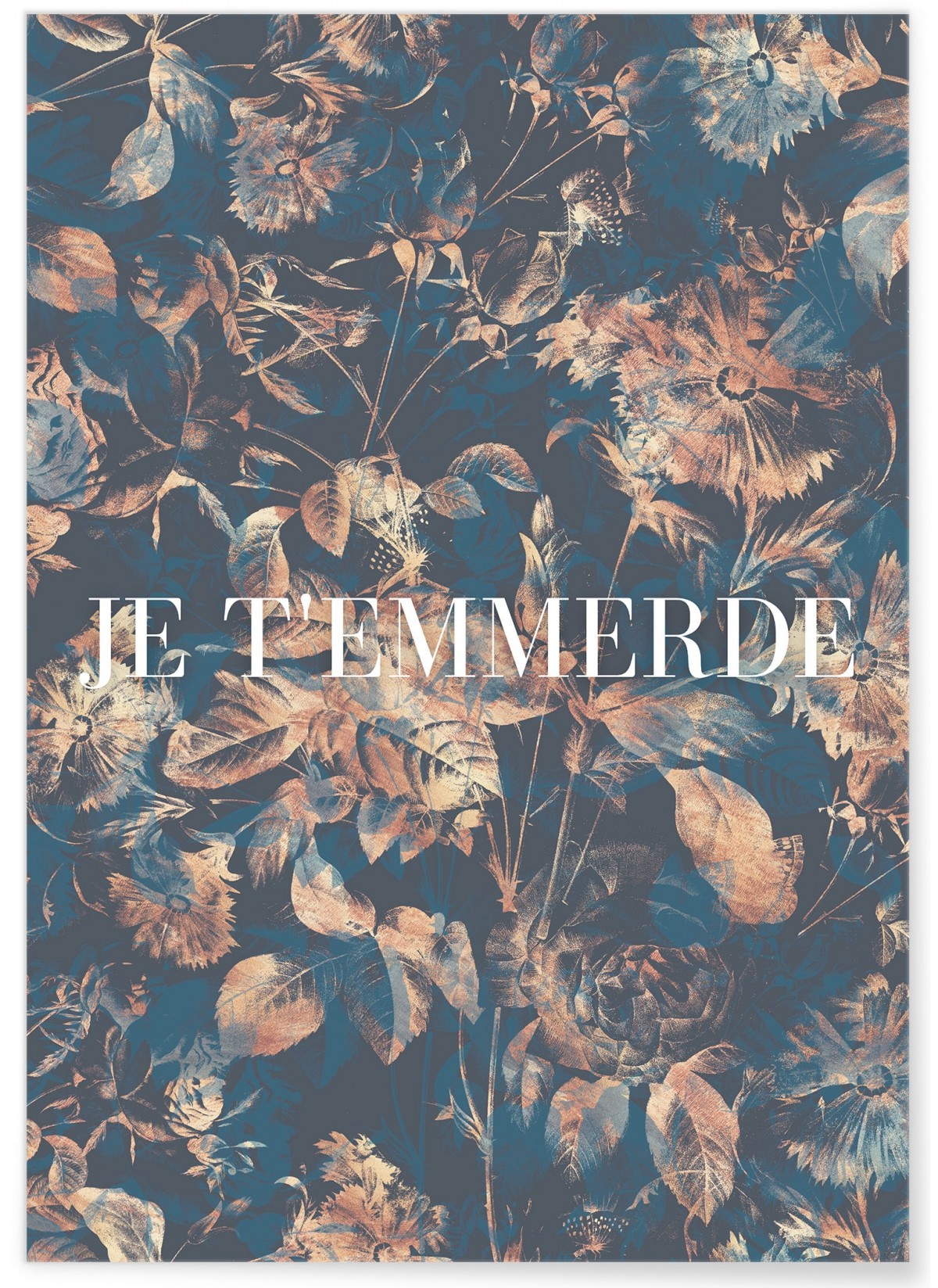 Affiche Je t'emmerde