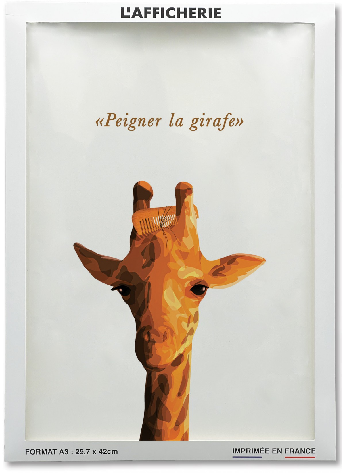 Affiche Humour pour offrir aux amis |  L’Afficherie