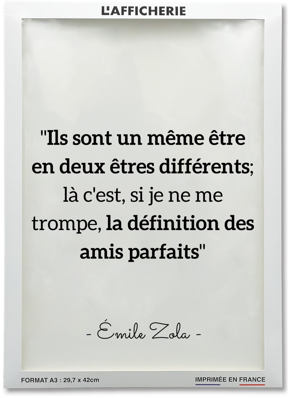 Affiche Citation Inspirante pour décorer un salon  | L'Afficherie