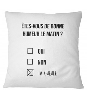 Coussin Êtes vous de bonne humeur ?