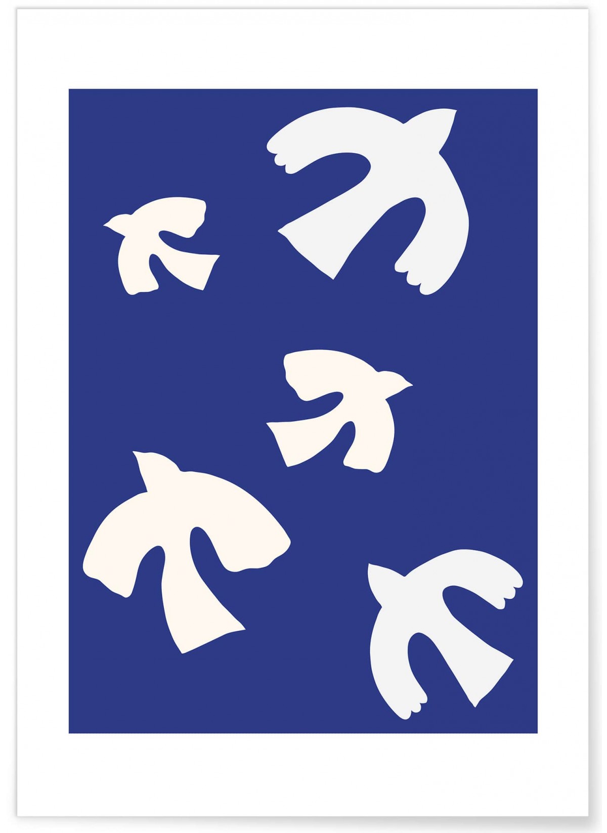 Affiche Birds