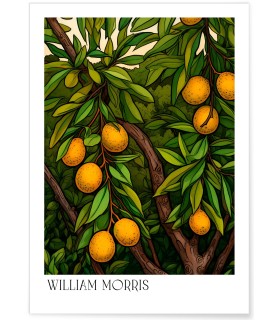 Affiche William Morris n°20