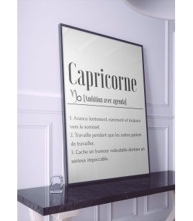 Affiche Définition Capricorne