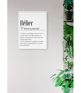 Affiche Définition Bélier