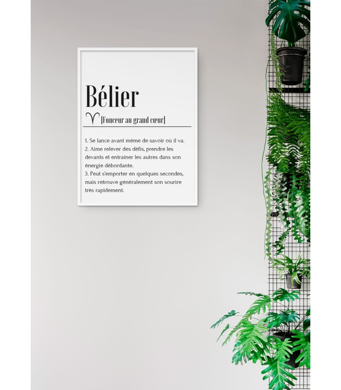 Affiche Définition Bélier