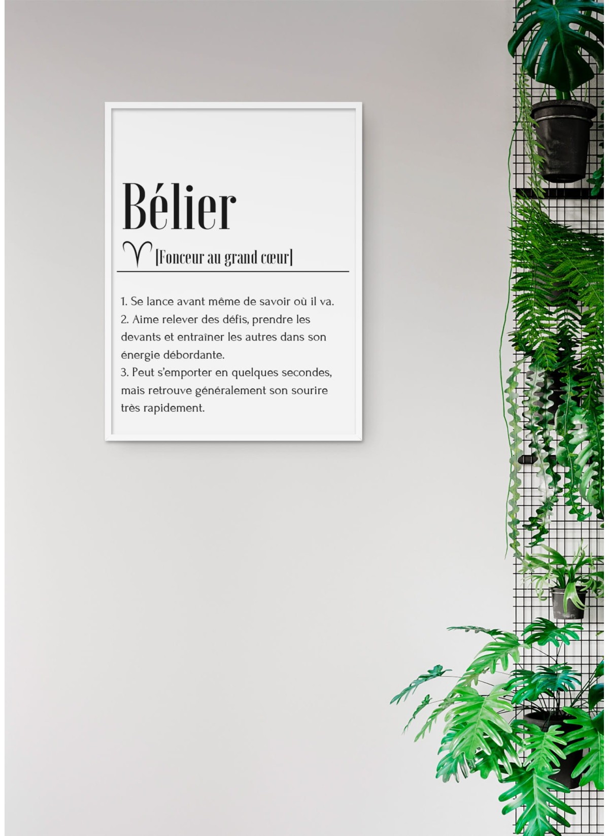 Affiche Définition Bélier
