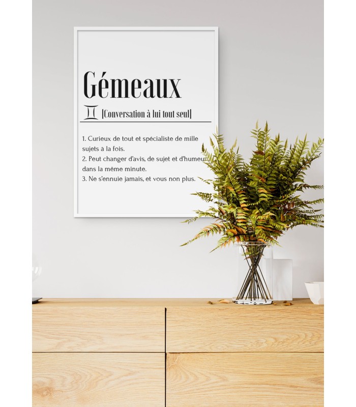 Affiche Définition Gémeaux