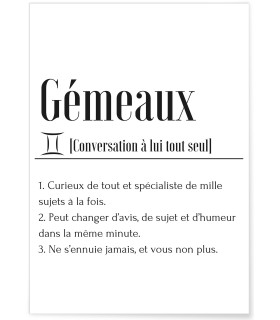 Affiche Définition Gémeaux