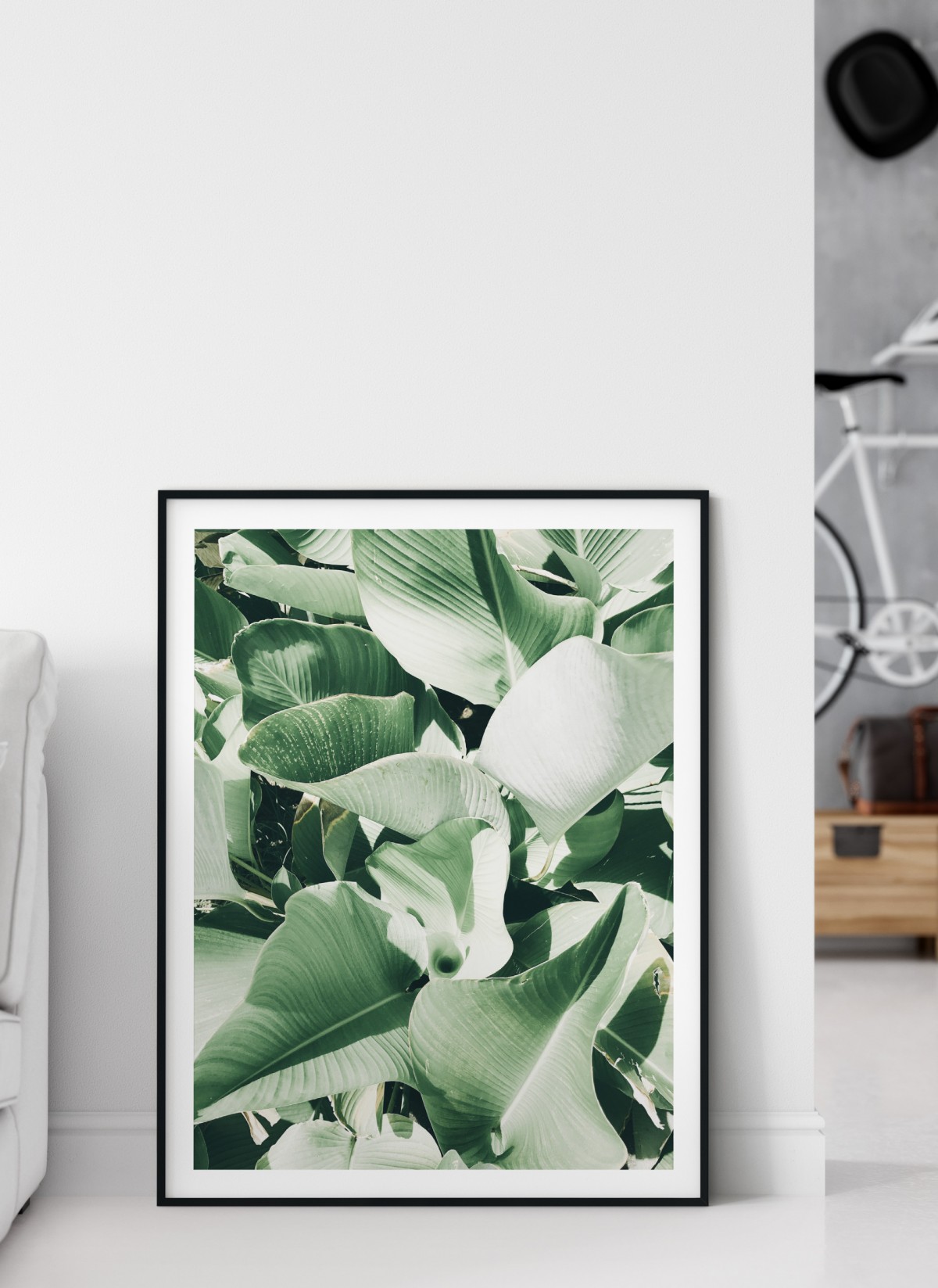 Affiche Nature plante verte 2