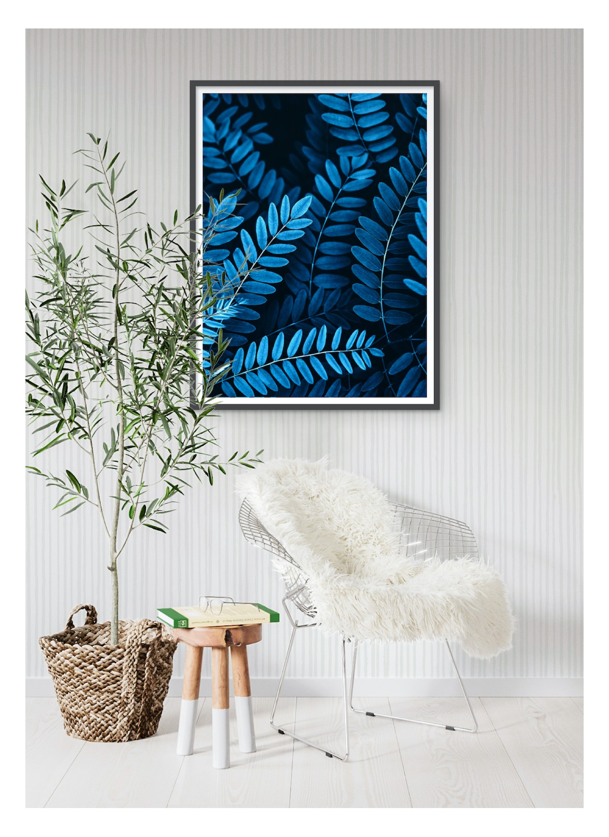 Affiche Nature Feuilles d'Acacia