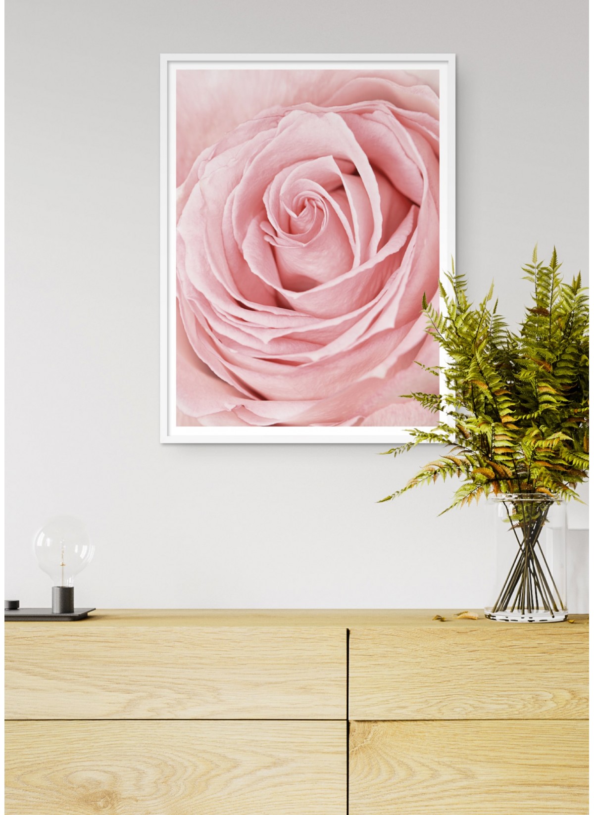 Affiche Pink Rose Flower