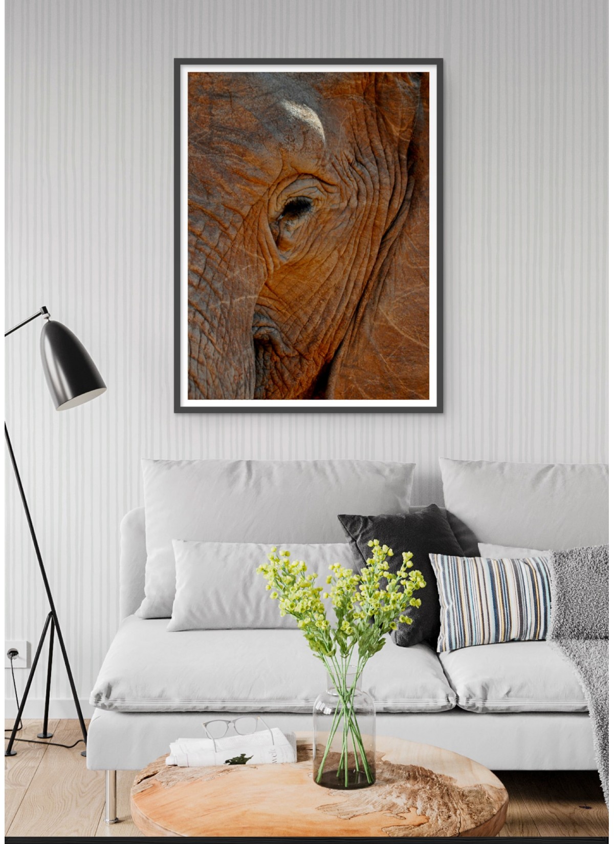 Poster Élephant