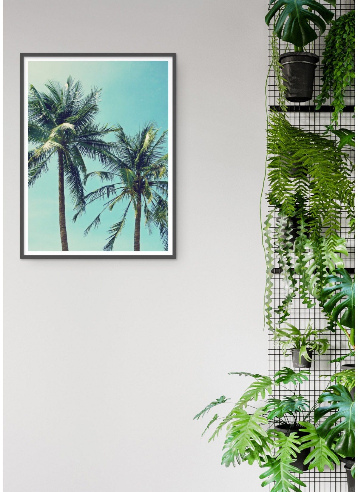 Affiche Palm Trees 2