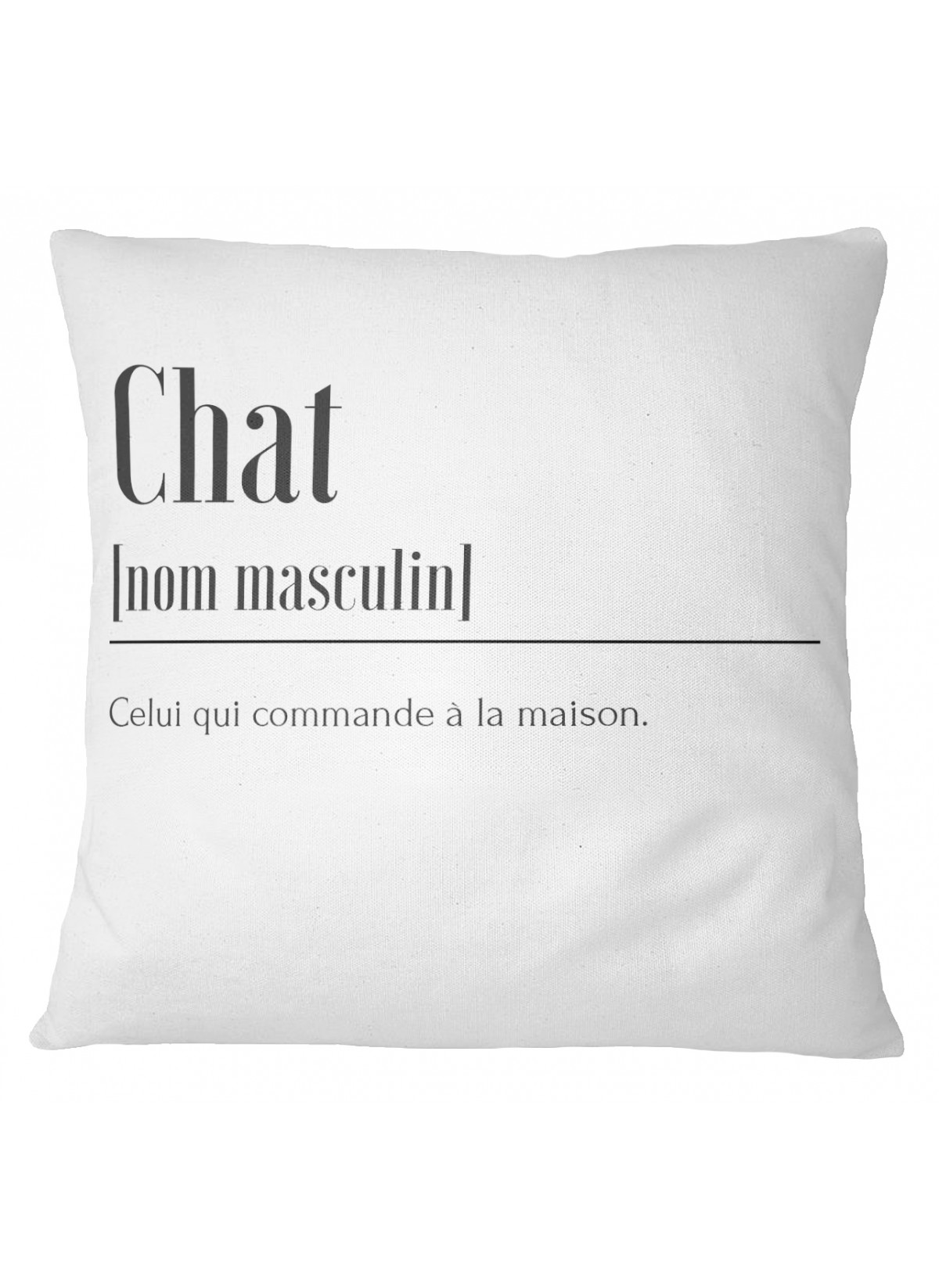 Coussin Définition Chat